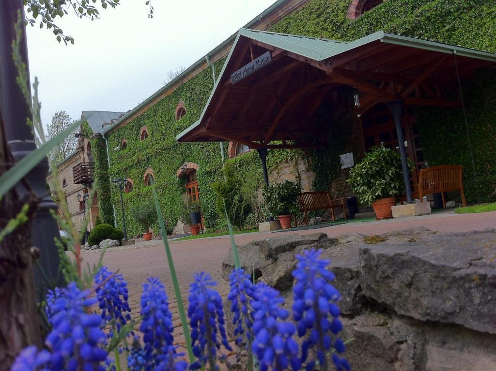 Hotel Manor House Dla Doroslych